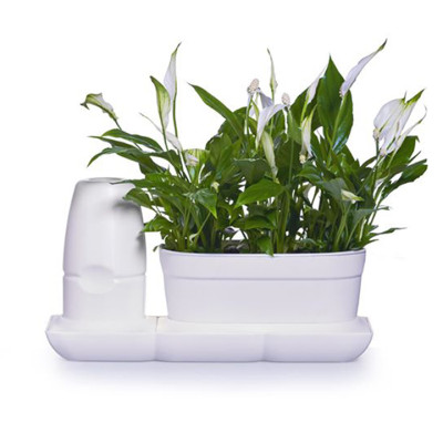 Bộ Chậu Trồng Cây Văn Phòng Thông Minh Tự Động Tưới Basic S Nhập Khẩu Châu Âu, Giúp Cây Phát Triển Tốt