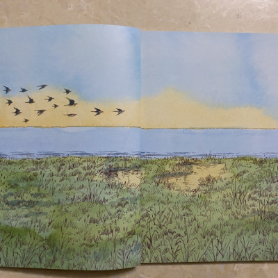 Combo 06 cuốn Chuyện Michael Morpurgo: Chú kì lân tuyệt diệu; Hành trình của cá voi; Dấu lửa trong mơ; Bố gấu của tôi; Bản nhạc của Mozart; Trở về tuổi thơ