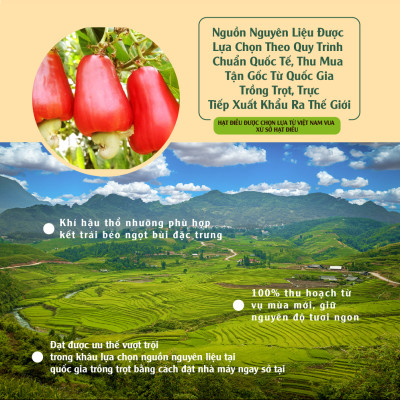 Hạt Điều Vị Cay 454g Dan D Pak