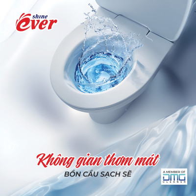 Combo 3 Vỉ Viên Treo Bồn Cầu Evershine Hương Chanh 54 Gr (Tặng 1 Vỉ Viên Treo Hương Lavender)