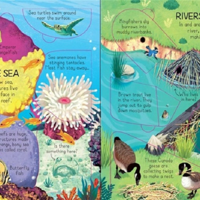 Sách - Anh: Look inside Animal Homes