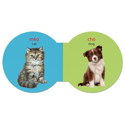 Picture Dictionary - Từ điển bằng hình