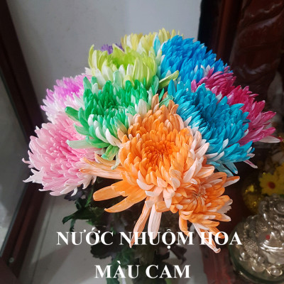 Dung Dịch Nhuộm Hoa Cắt Cành Đổi Màu (Combo 4 chai) theo Công Nghệ Israel giúp hoa nhuộm đổi màu theo ý muốn – The Color Sodium for Fresh Flowers