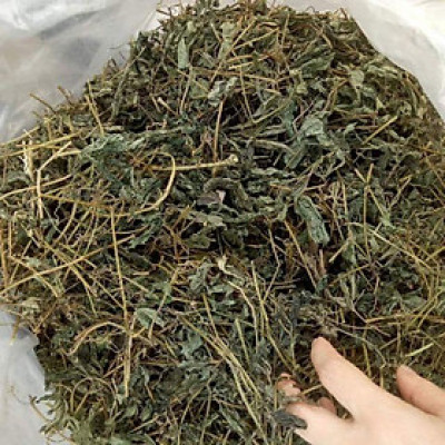 cây giảo cổ lam mộc châu túi 1kg