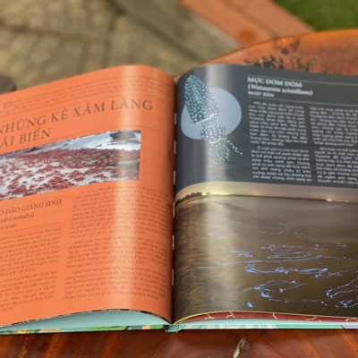 BÁCH KHOA TRI THỨC VỀ CÁC KỲ QUAN THẾ GIỚI – KỲ QUAN TỰ NHIÊN - - Molly Oldfield – Đinh Tị - NXB Hà Nội