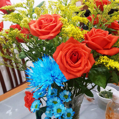 Dung Dịch Nhuộm Hoa Cắt Cành Đổi Màu (Combo 4 chai) theo Công Nghệ Israel giúp hoa nhuộm đổi màu theo ý muốn – The Color Sodium for Fresh Flowers