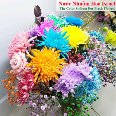 Dung Dịch Nhuộm Hoa Cắt Cành Đổi Màu (Combo 4 chai) theo Công Nghệ Israel giúp hoa nhuộm đổi màu theo ý muốn – The Color Sodium for Fresh Flowers