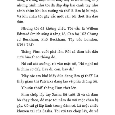 Bay Bằng Đôi Cánh Gãy - How To Fly With Broken Wings