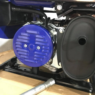 MÁY PHÁT ĐIỆN GIA ĐÌNH 100% DÂY ĐỒNG  DEWOO DW-2200 (2-2.2KW) - HÀNG CHÍNH HÃNG