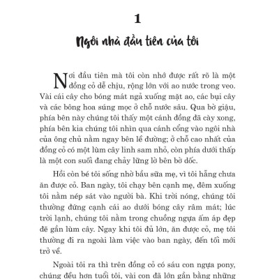 Ngựa Ô Yêu Dấu