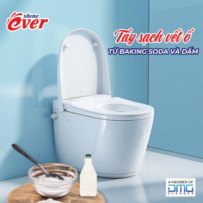 Combo 10 vỉ viên treo bồn cầu hương Lavender tặng kèm 4 vỉ hương Chanh