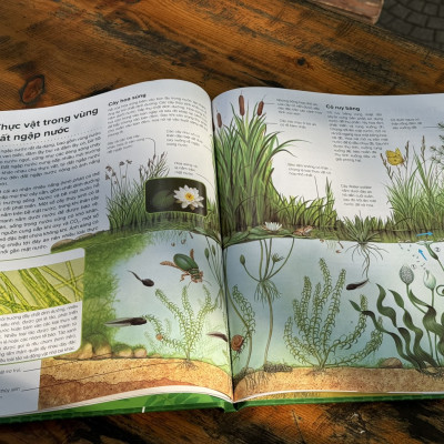 (Bìa cứng) HÀNH TRÌNH KHÁM PHÁ – THỰC VẬT_Gerald Legg & Steve Weston-  Hồng Nhung dịch- Tân Việt - NXB Mỹ Thuật