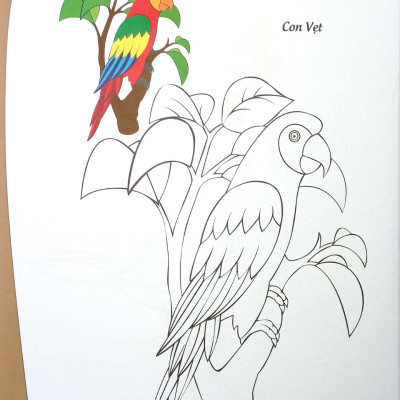 Sách - Bé Tập Tô Màu - Các Loài Chim