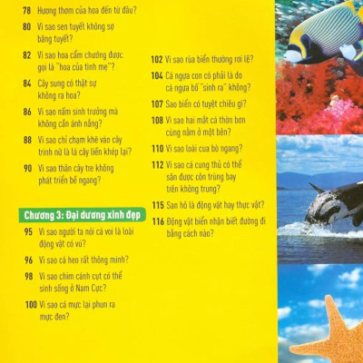 Khoa Học Cho Lứa Tuổi Thiếu Niên - Mười Vạn Câu Hỏi Vì Sao - Sinh Vật Và Môi Trường