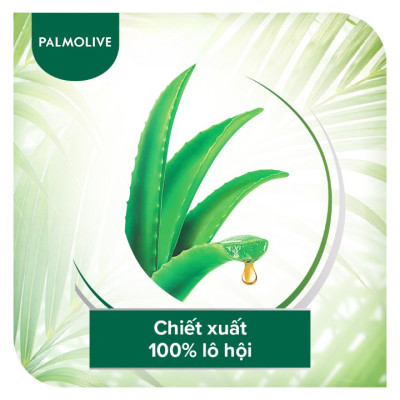 Dầu gội xả 2in1 Palmolive thiên nhiên 600ml 