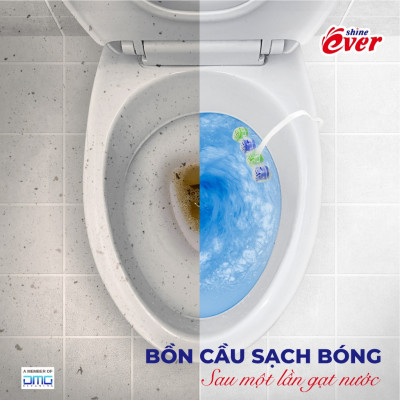 Combo 10 vỉ viên treo bồn cầu hương Chanh tặng kèm 4 vỉ hương Lavender