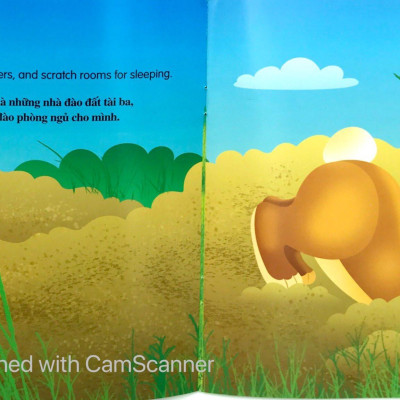 Bộ Sách Những Câu Chuyện Về Thế Giới Loài Vật 2 (Bộ 6 Cuốn)