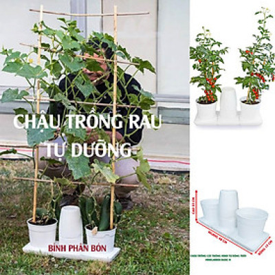 Chậu KIT Trồng Rau Tự Động Tưới Và Tự Dưỡng tại nhà Basic M (Size lớn) nhập khẩu Bồ Đào Nha dành cho người bận rộn