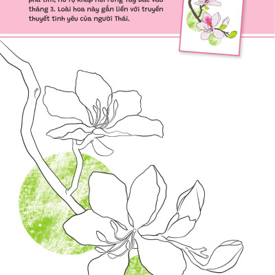 Sách - Yêu Quá Việt Nam - Các Loài Hoa