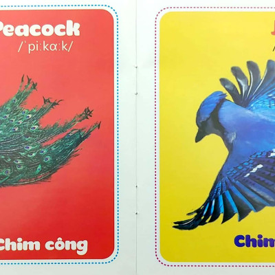 Bộ Sách Từ Điển Bằng Hình Cho Bé (Song Ngữ Anh-Việt) - Bộ 10 Cuốn