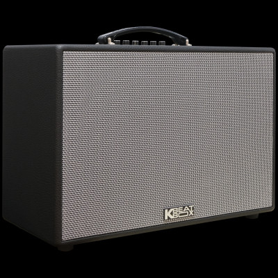 Dàn âm thanh di động xách tay ACNOS CS250PUW - HÀNG CHÍNH HÃNG