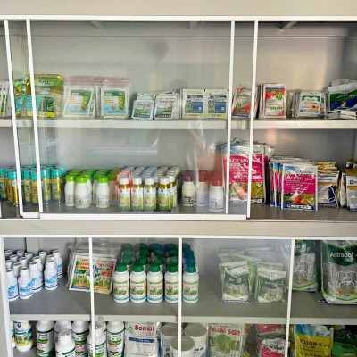 Phân bón vi lượng Champion Trung vi lượng CHELATE (gói 250gr) - xanh lá, dày lá, quang hợp mạnh - chống rụng hoa - rụng trái non - to trái - chắc trái - lên màu đẹp