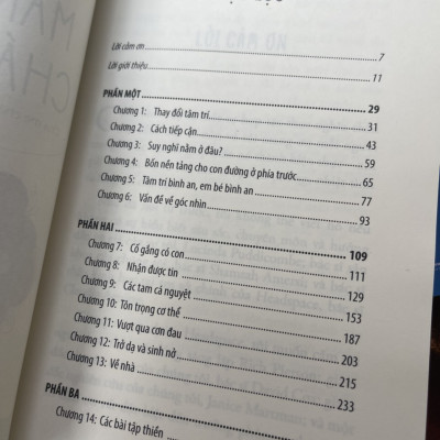 CÙNG HEADSPACE -MANG THAI CHÁNH NIỆM - Andy Puddicombe - Thái Hà – NXB Lao Động
