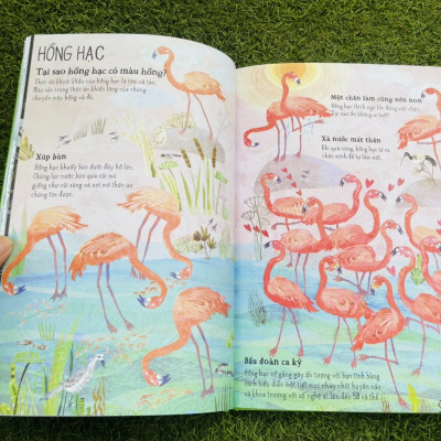 A LÊ HẤP! - THẾ GIỚI CHIM - ĐÔNG A - BẢN CỨNG IN MÀU TOÀN BỘ -