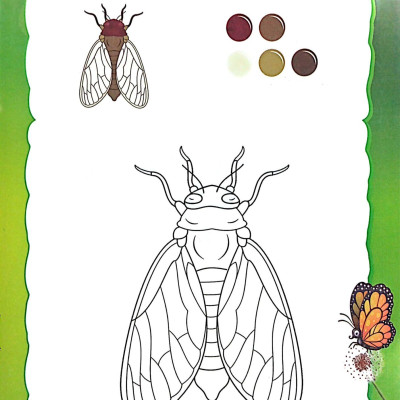 Tớ Muốn Làm Họa Sĩ 5 - Côn Trùng