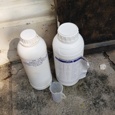 DUNG DỊCH BẢO QUẢN HOA LILY LÂU TÀN, KIỀM HOA KHÔNG NỞ VÀ “NGỦ ĐÔNG” TRÊN 15 NGÀY TẠI NHÀ VƯỜN TRỒNG HOA (GROWERS) THEO CÔNG NGHỆ ISRAEL