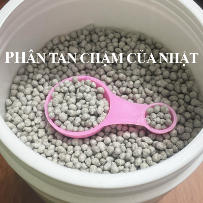 Phân Tan Chậm Hỗn Hợp Nhật (Hủ 1kg) tự hòa tan trong 6 tháng 14-11-11+ME giúp cây trồng, rau sạch đủ dinh dưỡng và tiết kiệm chăm sóc