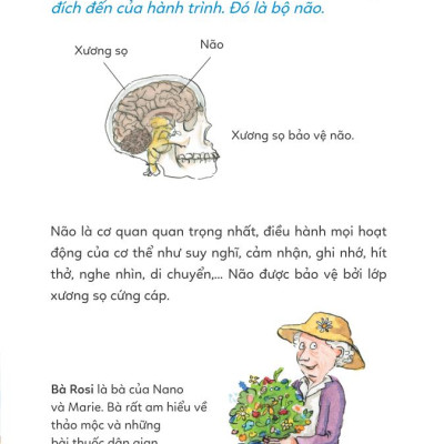 Pixi thông thái - Cơ thể diệu kỳ