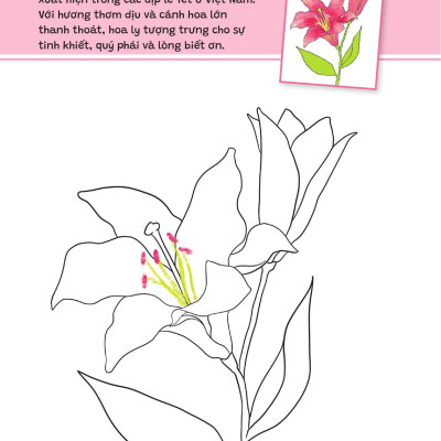 Sách - Yêu Quá Việt Nam - Các Loài Hoa