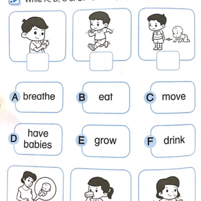 Khoa Học Tiền Tiểu Học Song Ngữ - Sách Luyện Tập 4