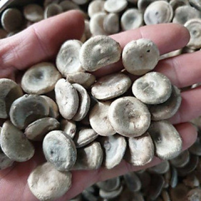 hạt mã tiền phơi khô 1kg