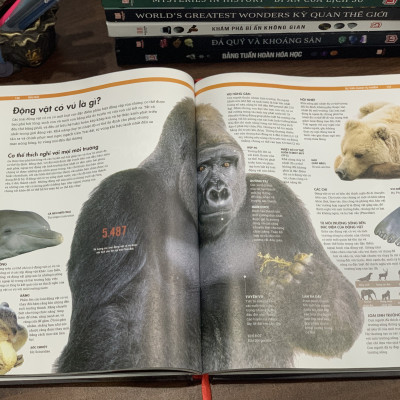 Combo sách Trái đất và sách Khám phá bí ẩn không gian ( Bộ 2 cuốn ) - Tổng hợp kiến thức khoa học tự nhiên và vũ trụ