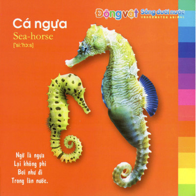 Bé Khám Phá Môi Trường Xung Quanh - Động Vật Sống Dưới Nước _ML