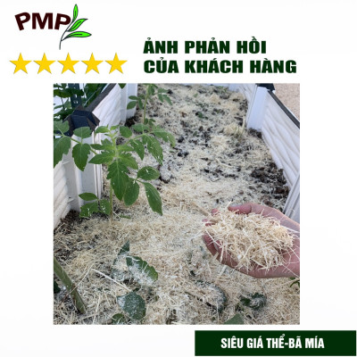 Combo bộ phân bón hữu cơ PMP trồng cà chua bạch tuộc - Phân cải tạo đất Fermic - Super Probio - Soymic V – Đạm Cá - Bã Mía