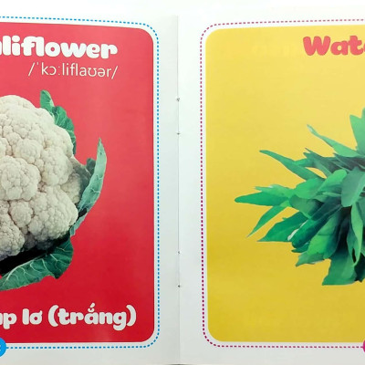 Bộ Sách Từ Điển Bằng Hình Cho Bé (Song Ngữ Anh-Việt) - Bộ 10 Cuốn