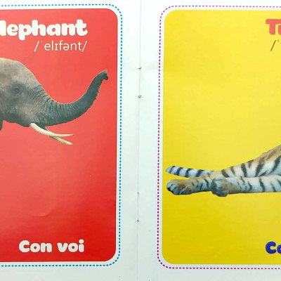 Bộ Sách Từ Điển Bằng Hình Cho Bé (Song Ngữ Anh-Việt) - Bộ 10 Cuốn