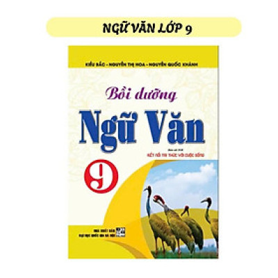 Bồi dưỡng ngữ văn 9 (bám sát sgk kết nối tri thức với cuộc sống) - HA