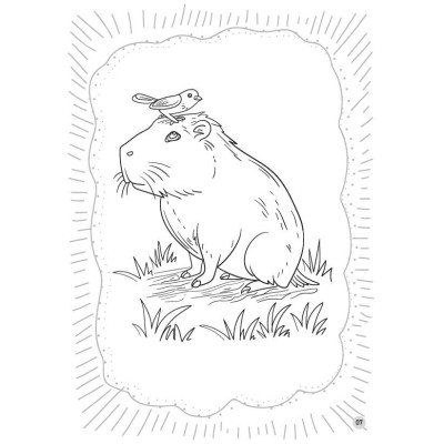 Sách - Bé Tô Màu Capybara - Bộ Trưởng Bộ Ngoại Giao - Người Bạn Thân Thiện