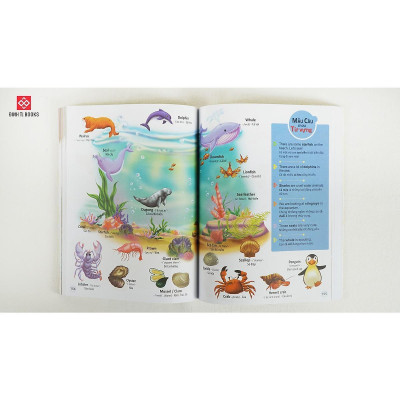 Sách - 4000 Từ Vựng Và Mẫu Câu Tiếng Anh Thiết Yếu Cho Trẻ Em - Đinh Tị Books