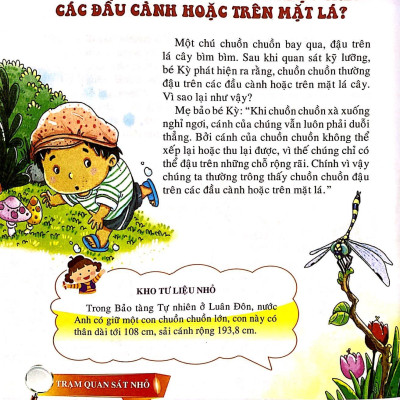 10 Vạn Câu Hỏi Vì Sao - Những Loài Và Vật Biết Bay