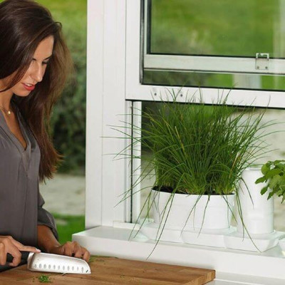 Chậu Trồng Rau Sạch Tự Dưỡng và Tự động tưới Basic UNO nhập khẩu Bồ Đào Nha dùng trồng rau và cây để bàn trong nhà hàng, khách sạn hay hộ gia đình