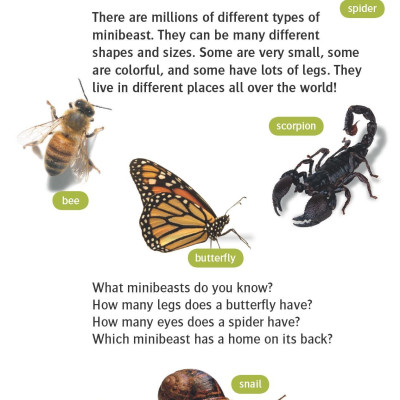 Oxford Read and Discover 3 Amazing Minibeasts