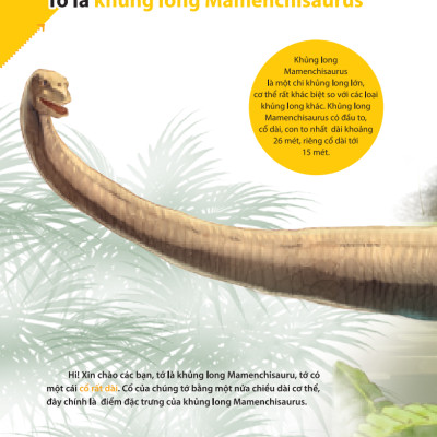 Kiến Thức Về Khủng Long - Cổ Khủng Long Mamenchisaurus Dài Bao Nhiêu? Cơ Thể Khủng Long Chứa Đầy Bí Mật