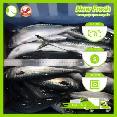 Cá Saba Nhật Nguyên Con - Túi 1Kg