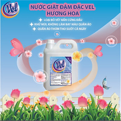 Combo Nước giặt VEL Đậm đặc sạch thơm cho quần áo Can 5 Lít Tiết Kiệm