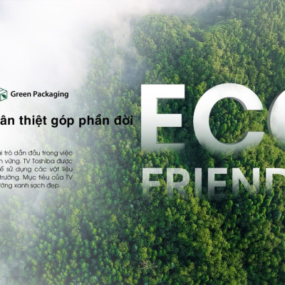 Smart Tivi QLED TOSHIBA 55 inch 55M450NP, Màn Hình Quantum Dot 4K UHD -  Giao Hàng Toàn Quốc - Hàng Chính Hãng